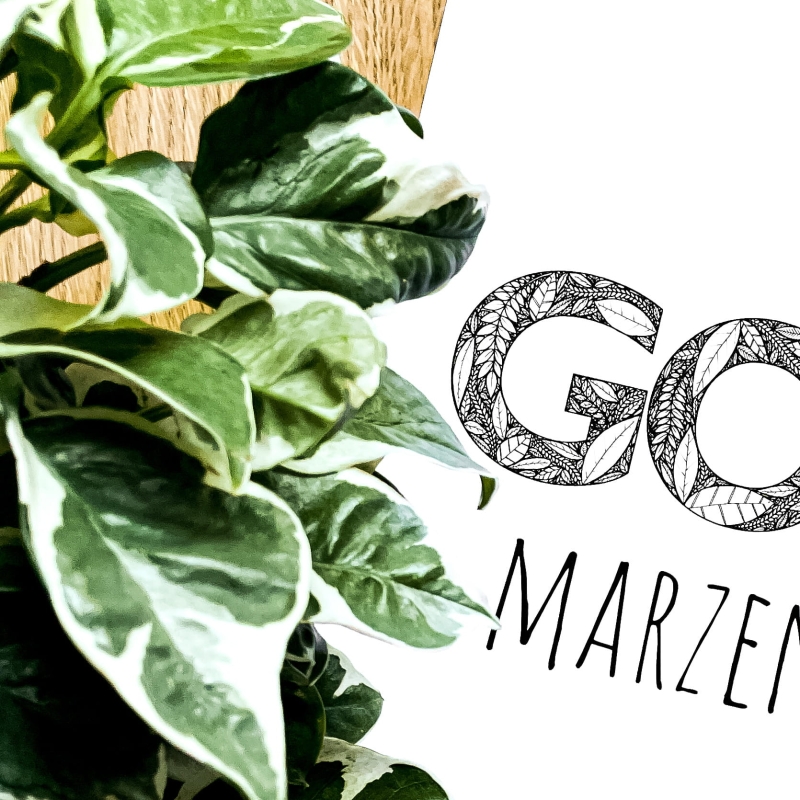 Plakat botaniczny "Goń Marzenia" na tle drewnianego blatu.