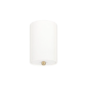 Spot sufitowy PLISE BRASS biały