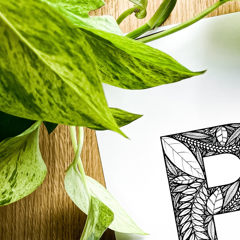 Plakat posiadający motyw roślinny z możliwością personalizacji - litera B - detal