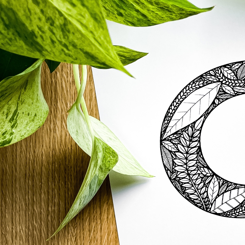 Plakat posiadający motyw roślinny z możliwością personalizacji - litera C - detal