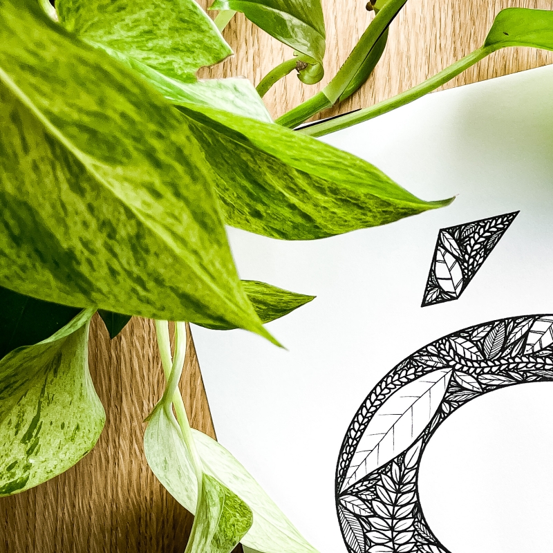 Plakat posiadający motyw roślinny z możliwością personalizacji - litera Ć - detal