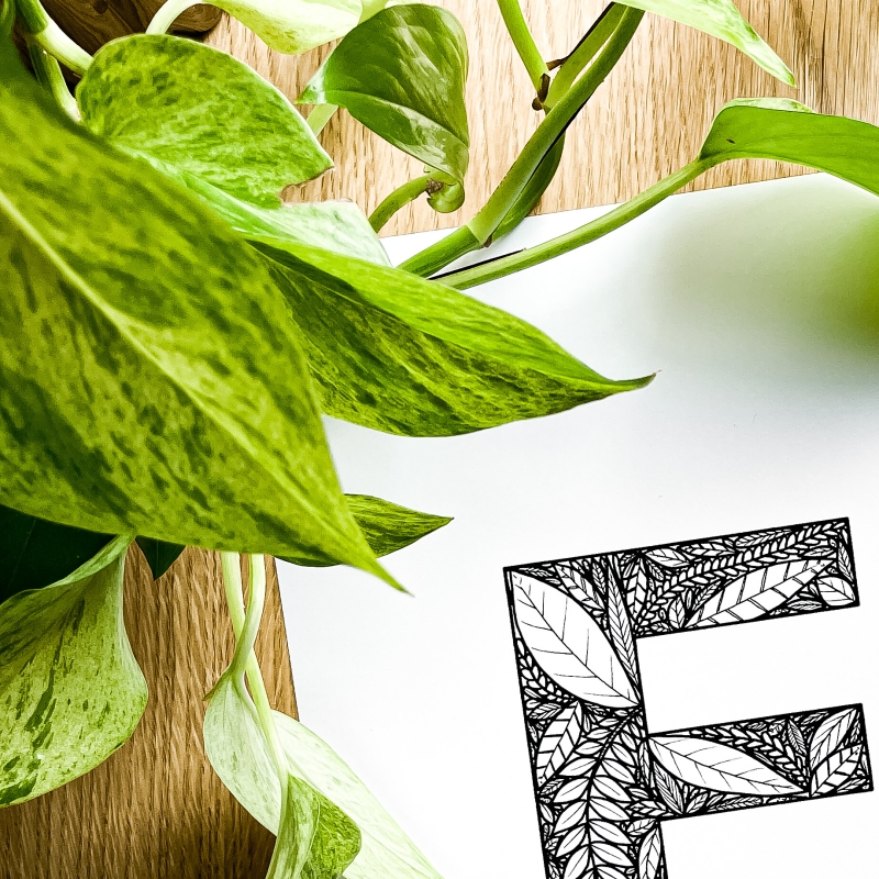 Plakat posiadający motyw roślinny z możliwością personalizacji - litera E - detal