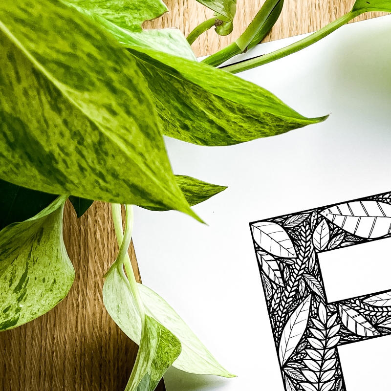 Plakat posiadający motyw roślinny z możliwością personalizacji - litera F - detal