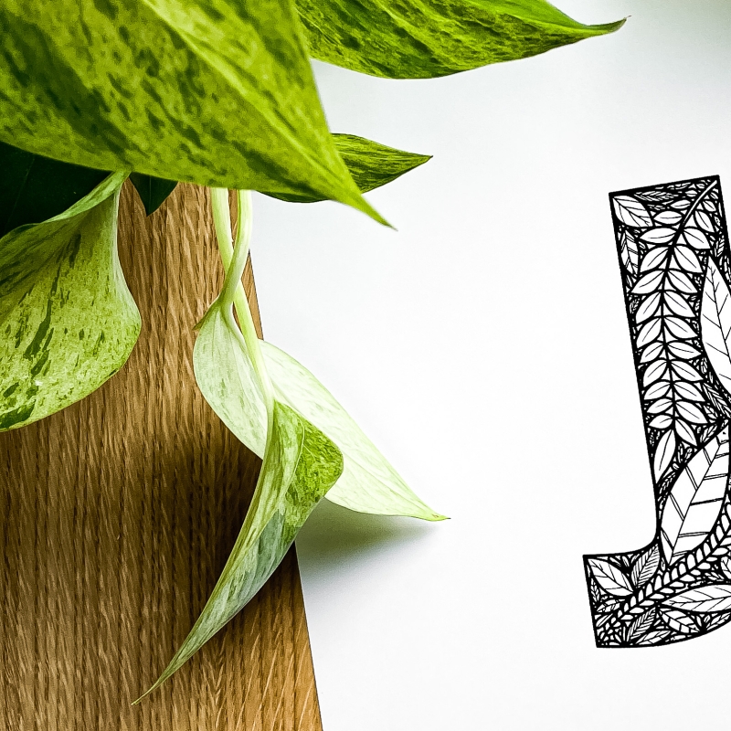 Plakat posiadający motyw roślinny z możliwością personalizacji - litera J - detal