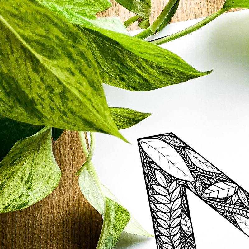 Plakat posiadający motyw roślinny z możliwością personalizacji - litera N - detal