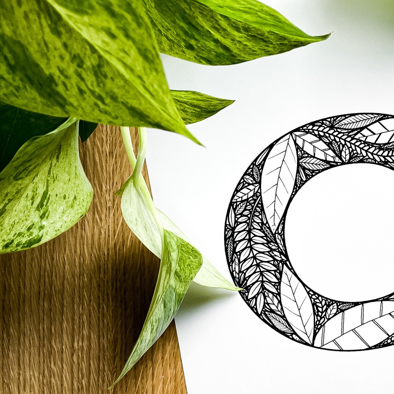 Plakat posiadający motyw roślinny z możliwością personalizacji - litera O - detal