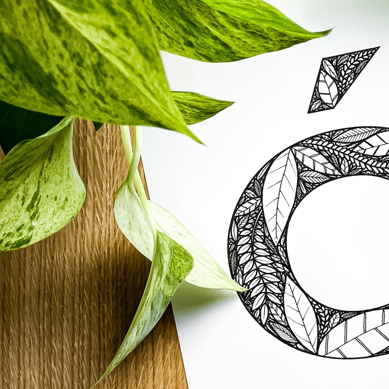 Plakat posiadający motyw roślinny z możliwością personalizacji - litera Ó - detal