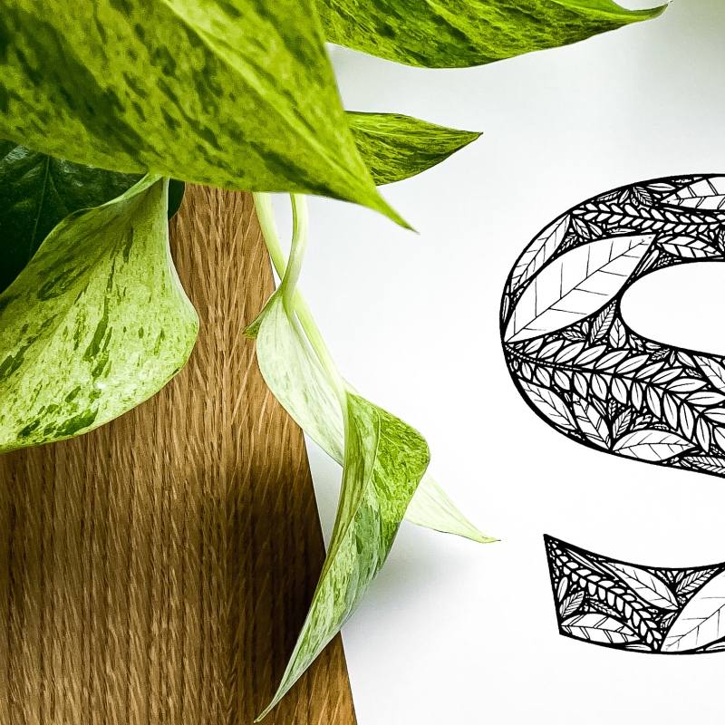 Plakat posiadający motyw roślinny z możliwością personalizacji - litera S - detal