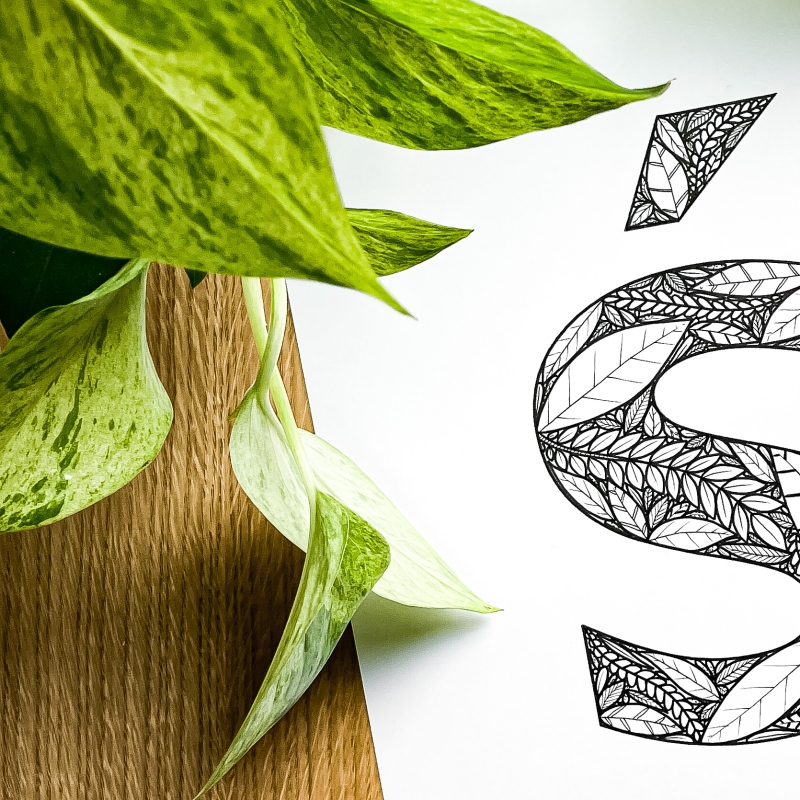 Plakat posiadający motyw roślinny z możliwością personalizacji - litera Ś - detal