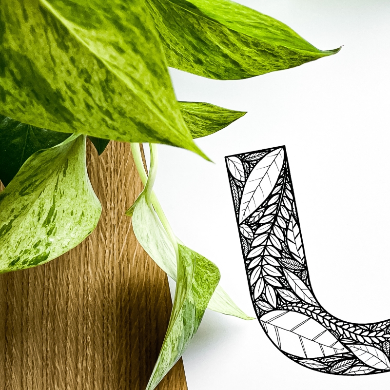 Plakat posiadający motyw roślinny z możliwością personalizacji - litera U - detal