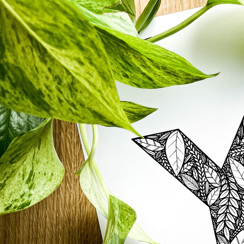 Plakat posiadający motyw roślinny z możliwością personalizacji - litera Y - detal