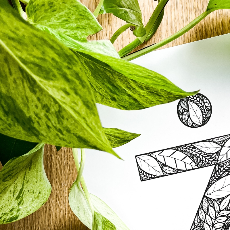 Plakat posiadający motyw roślinny z możliwością personalizacji - litera Ż - detal