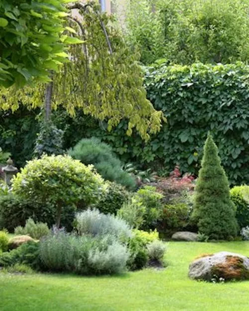 Rośliny w chłodnych barwach