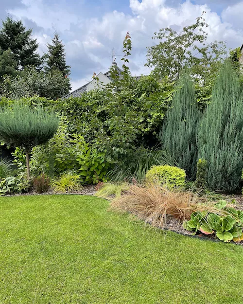 Różnorodność roślin